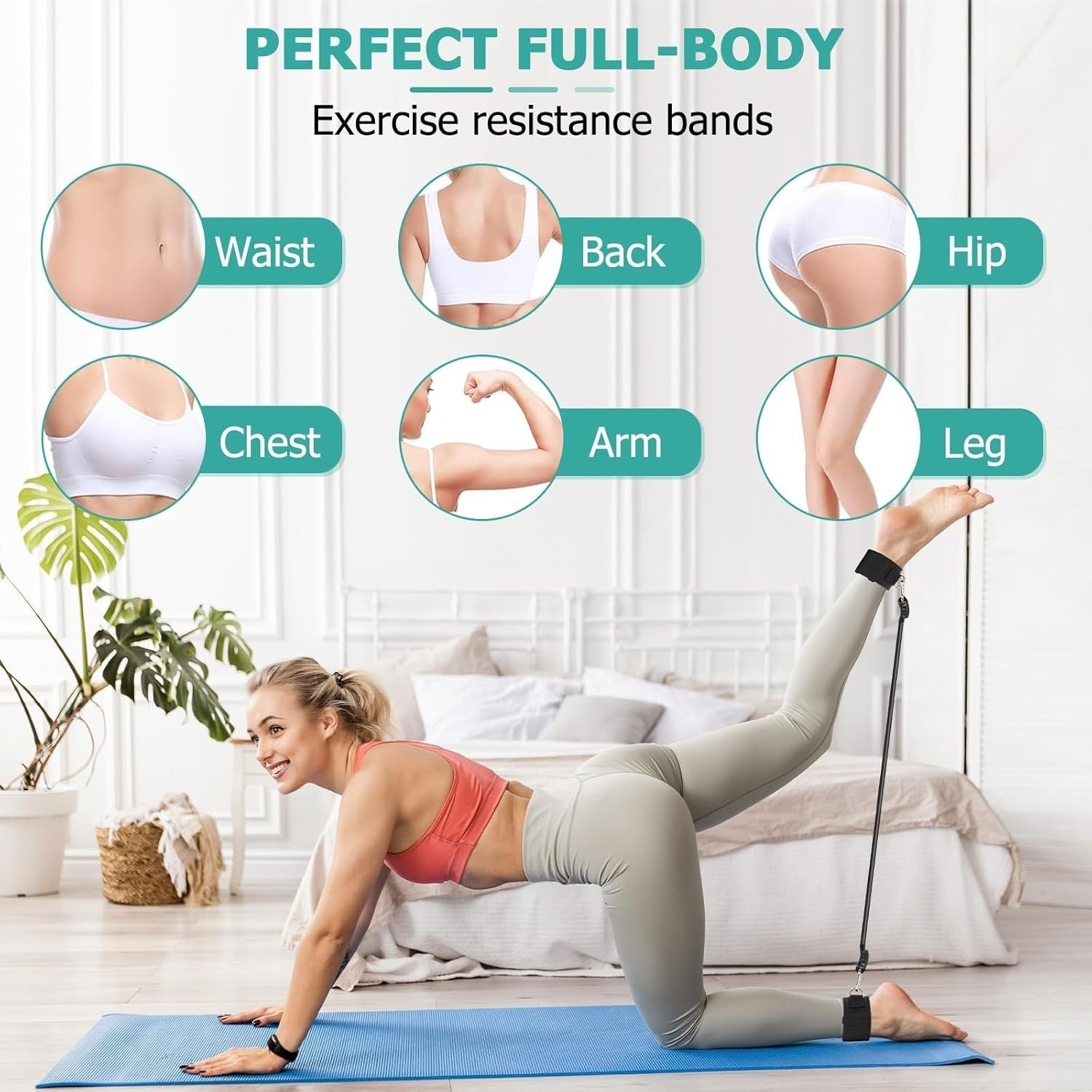 Pilates Bar Kit with Resistance Bands - Home Studio System